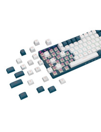 Royalaxe R108 Hot Swappable Mechanical Keyboard  Full Size  110 Keys  2.4GHz  Bluetooth 5.0 or Wired Connection  TTC Golden-Pink Switches  RGB  Windows and Mac Compatible  UK Layout