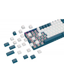 Royalaxe R87 Hot Swappable Mechanical Keyboard  80% TKL Design  89 Keys  2.4GHz  Bluetooth 5.0 or Wired Connection  TTC Golden-Pink Switches  RGB  Windows and Mac Compatible  UK Layout