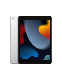 Apple iPad 9th Gen  10.2 Inch Screen  256GB  Wi-Fi  Silver