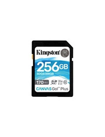 Kingston Canvas Go! Plus SDCG3/256GB 256GB Micro SD Card  UHS-1 (U3)
