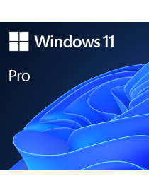 Microsoft Windows 11 Professional 64-bit  OEM DVD  Single Copy